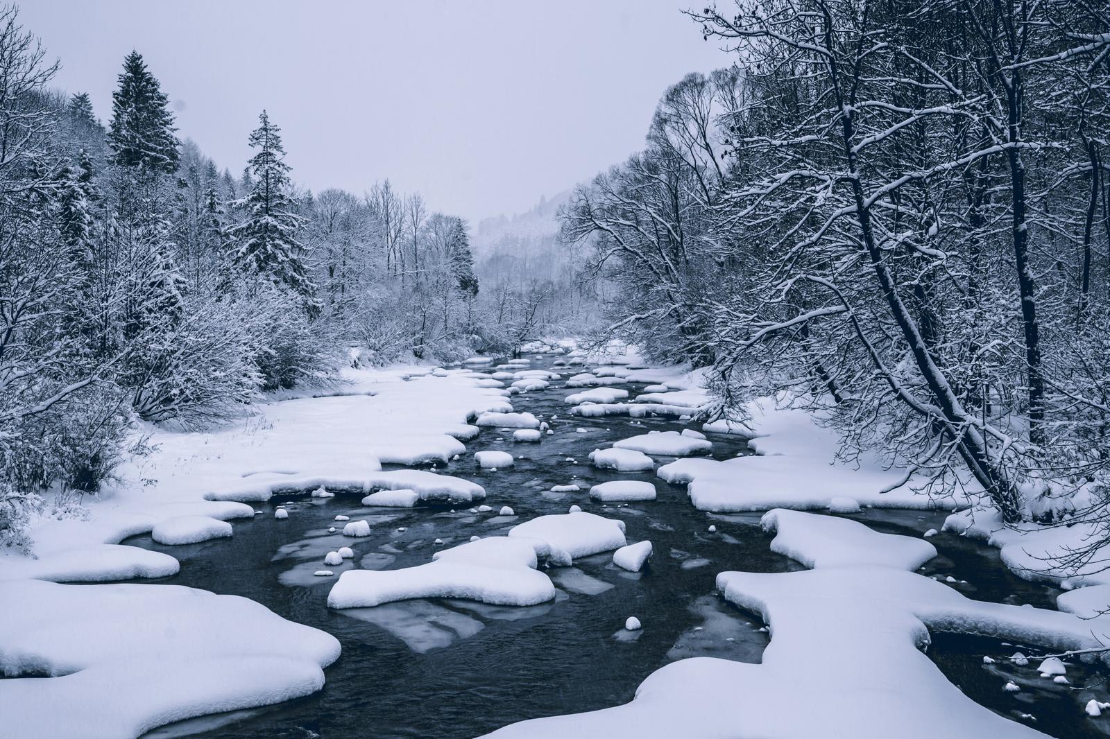Jesienna mgła nad rzeką